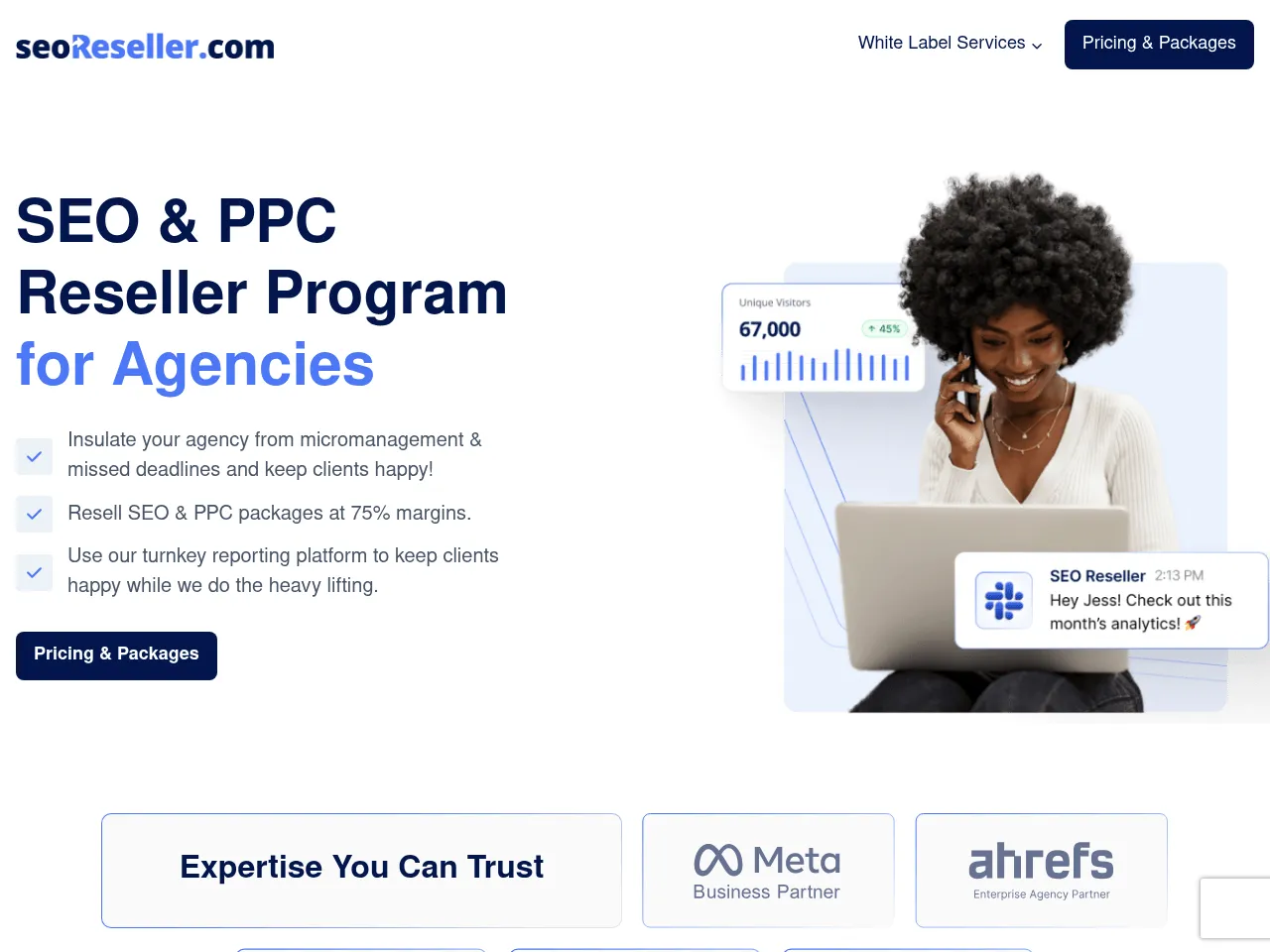 SEOReseller Screenshot